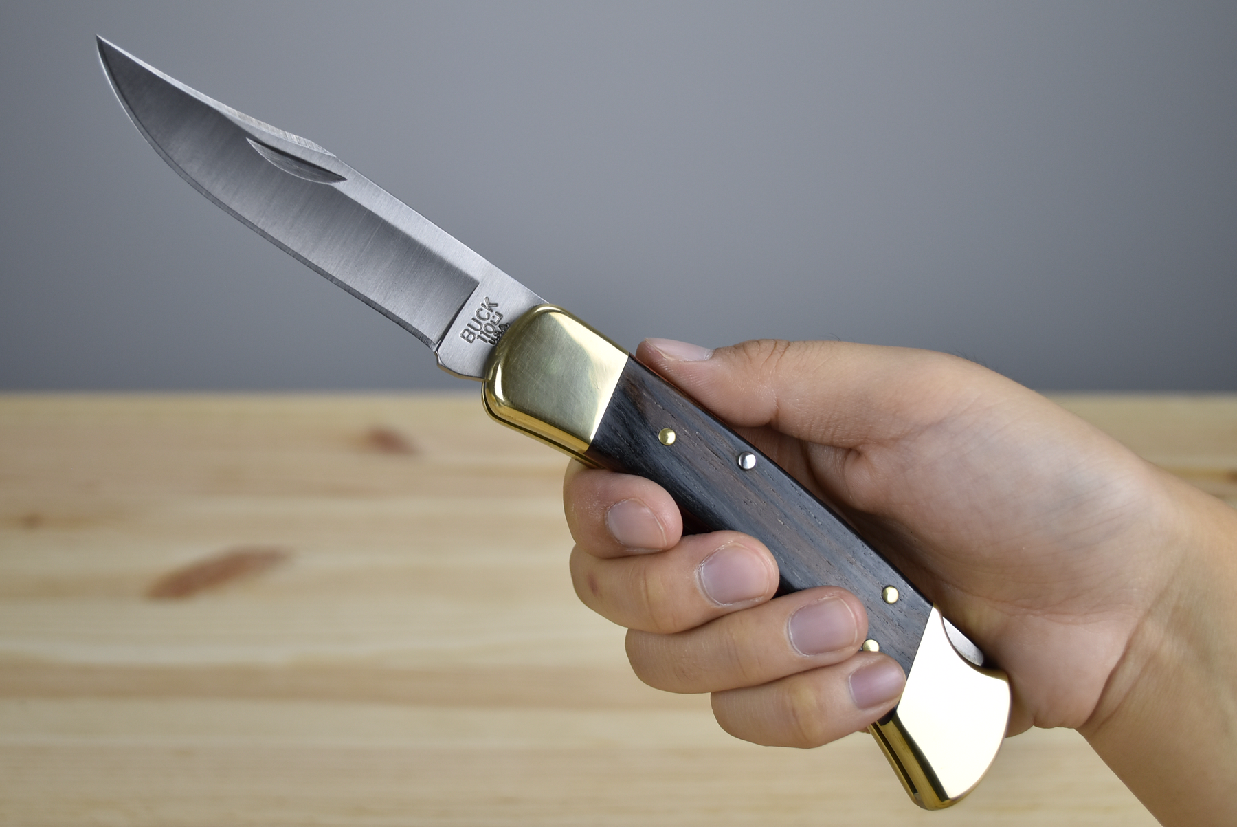 Buck® 110 Hunter Folding Knife